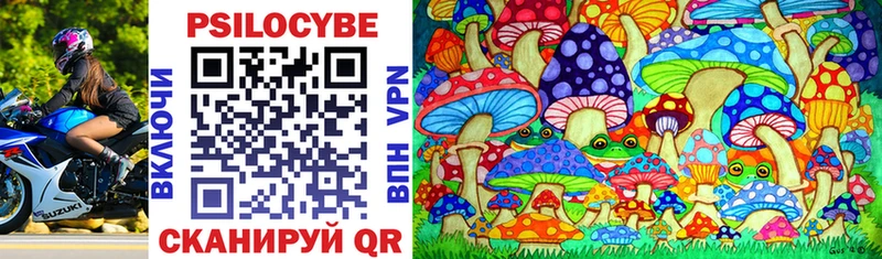 Купить закладки  Балашов  Галлюциногенные грибы MAGIC MUSHROOMS 