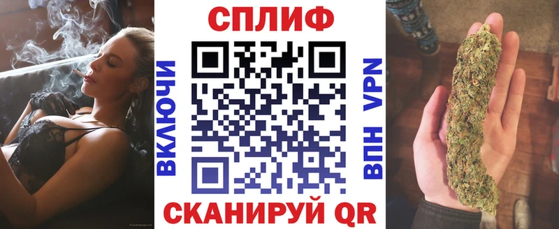 Бошки марихуана семена  Купить где  Балашов 